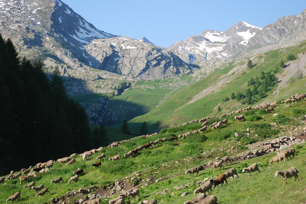 Le Clos Du Berger Le Sauze Exterior foto